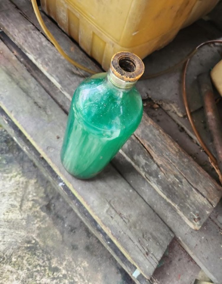 Hati-Hati Pertalet Dioplos Dengan Air Radiator